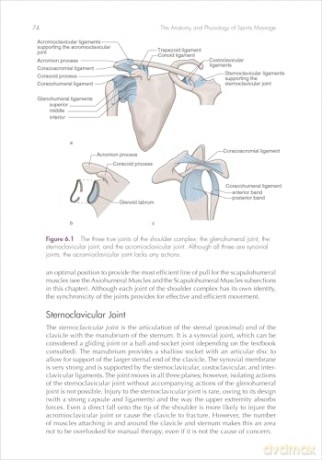 The Anatomy and Physiology of Sports Massage - Portia Resnick [KSIĄŻKA]