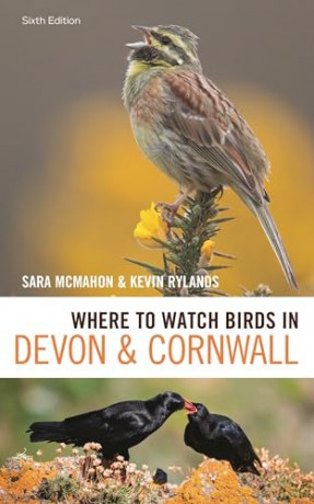 Where to Watch Birds in Devon and Cornwall: 6th edition - Kevin Rylands [KSIĄŻKA]
