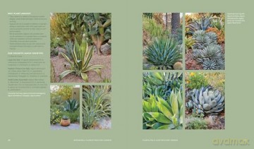 Designing the Lush Dry Garden: How to Create a Climate-Resilient, Low-Water Paradise - Alice Kitajima [KSIĄŻKA]