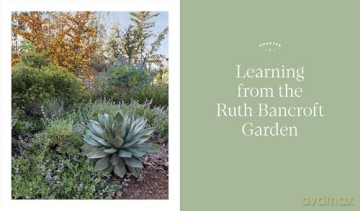 Designing the Lush Dry Garden: How to Create a Climate-Resilient, Low-Water Paradise - Alice Kitajima [KSIĄŻKA]