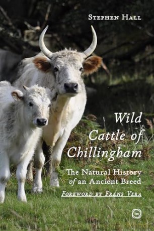 Wild Cattle of Chillingham: The Natural History of an Ancient Breed - Stephen Hall [KSIĄŻKA]