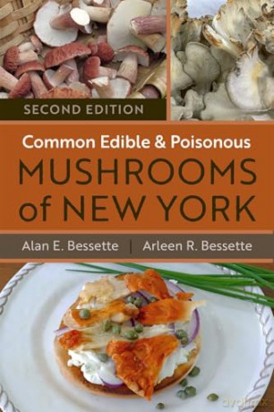 Common Edible and Poisonous Mushrooms of New York: Second Edition - Alan E. Bessette [KSIĄŻKA]