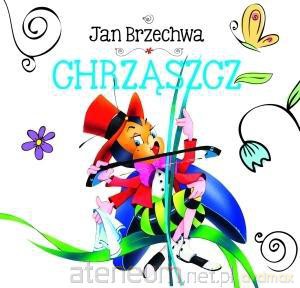 Chrząszcz [KSIĄŻKA]