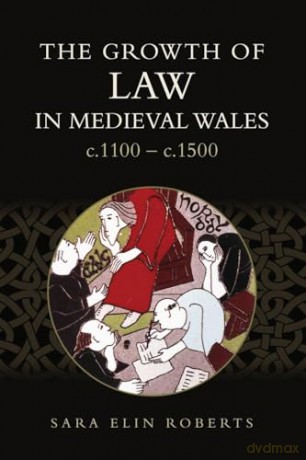 The Growth of Law in Medieval Wales, c.1100-c.1500 (Studies in Celtic History) - Sara Elin Roberts [KSIĄŻKA]