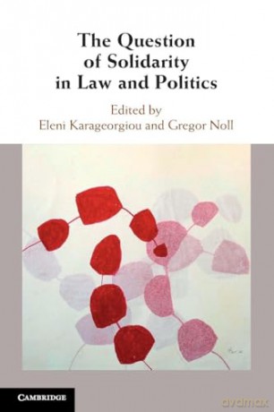 The Question of Solidarity in Law and Politics [KSIĄŻKA]