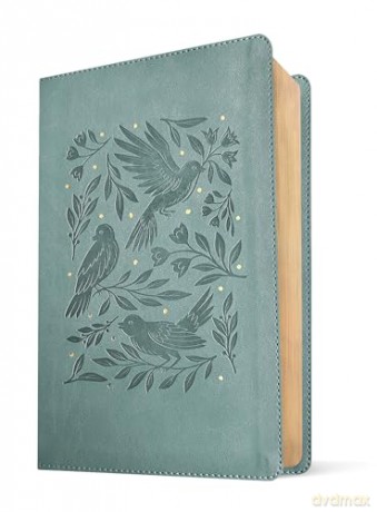 NLT The One Year Bible for Women (LeatherLike, Birdsong Teal) - Misty Arterburn [KSIĄŻKA]