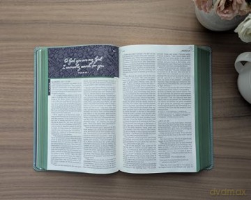 NLT The One Year Bible for Women (LeatherLike, Birdsong Teal) - Misty Arterburn [KSIĄŻKA]