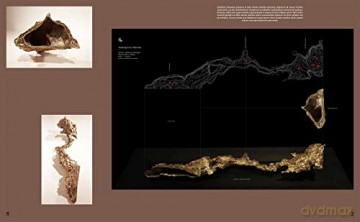 Cave Bureau: The Architect's Studio - Mette Marie Kallehauge [KSIĄŻKA]