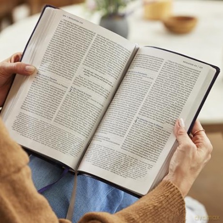 NET Bible, Large Print Thinline with Cross References, Brown Leathersoft, Comfort Print: New English Translation, Brown, Thinline With Cross References, Comfort Print - Thomas Nelson [KSIĄŻKA]