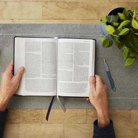 NET Bible, Large Print Thinline with Cross References, Brown Leathersoft, Comfort Print: New English Translation, Brown, Thinline With Cross References, Comfort Print - Thomas Nelson [KSIĄŻKA]