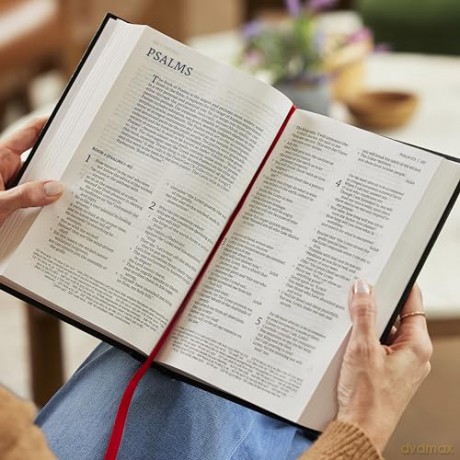 NET Bible, Large Print Thinline with Cross References, Purple Leathersoft, Comfort Print: New English Translation, Purple, Thinline With Cross References, Comfort Print - Thomas Nelson [KSIĄŻKA]