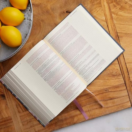 NKJV, Journal the Word Bible: Reflect, Journal or Create Art Next to Your Favorite Verses (Stone Leathersoft over board, Red Letter, Comfort Print) - Thomas Nelson [KSIĄŻKA]