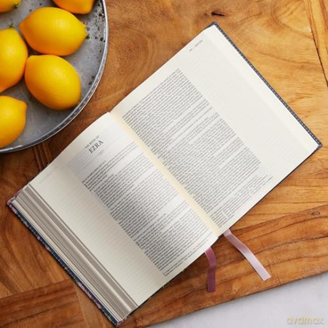 NKJV, Journal the Word Bible: Reflect, Journal or Create Art Next to Your Favorite Verses (Stone Leathersoft over board, Red Letter, Comfort Print) - Thomas Nelson [KSIĄŻKA]