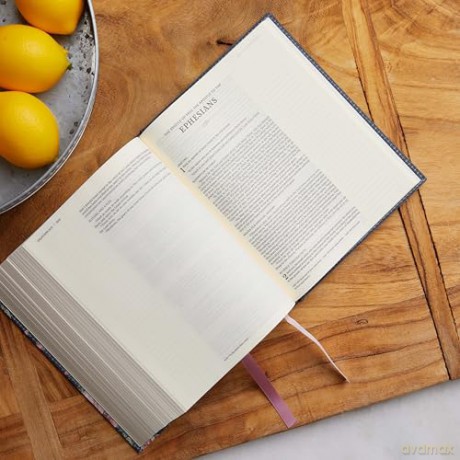 NKJV, Journal the Word Bible: Reflect, Journal or Create Art Next to Your Favorite Verses (Stone Leathersoft over board, Red Letter, Comfort Print) - Thomas Nelson [KSIĄŻKA]