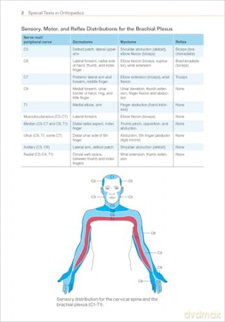 Special Tests in Orthopedics - Sandra J. Shultz [KSIĄŻKA]
