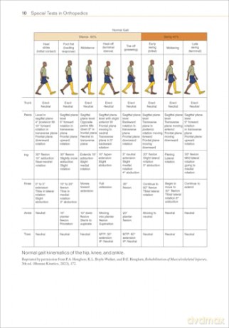 Special Tests in Orthopedics - Sandra J. Shultz [KSIĄŻKA]