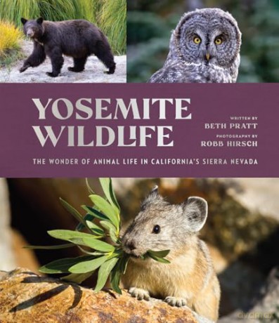 Yosemite Wildlife: The Wonder of Animal Life in California's Sierra Nevada - Beth Pratt [KSIĄŻKA]