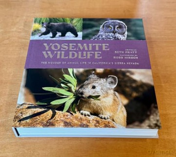 Yosemite Wildlife: The Wonder of Animal Life in California's Sierra Nevada - Beth Pratt [KSIĄŻKA]