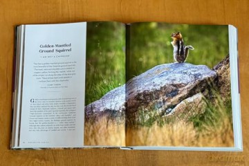 Yosemite Wildlife: The Wonder of Animal Life in California's Sierra Nevada - Beth Pratt [KSIĄŻKA]