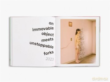Brooke DiDonato: Take a Picture, It Will Last Longer - Brooke DiDonato [KSIĄŻKA]