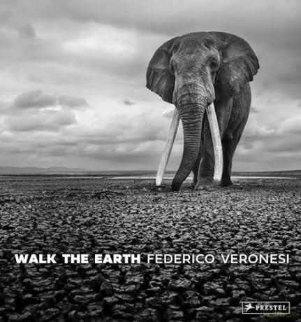 Walk the Earth: Photographs of Africa's Last Great Elephants - Federico Veronesi [KSIĄŻKA]