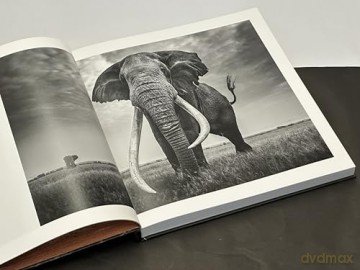 Walk the Earth: Photographs of Africa's Last Great Elephants - Federico Veronesi [KSIĄŻKA]