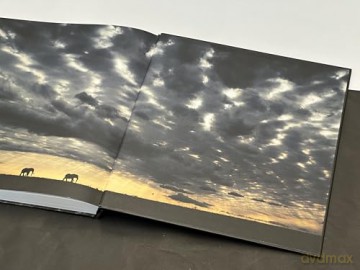 Walk the Earth: Photographs of Africa's Last Great Elephants - Federico Veronesi [KSIĄŻKA]