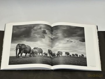 Walk the Earth: Photographs of Africa's Last Great Elephants - Federico Veronesi [KSIĄŻKA]