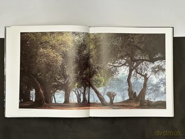 Walk the Earth: Photographs of Africa's Last Great Elephants - Federico Veronesi [KSIĄŻKA]