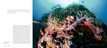 Our Future Below: The Game-Changing Science of Ocean Exploration (MandalaEarth) - Hugh Anderson [KSIĄŻKA]
