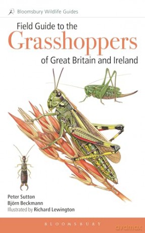 Field Guide to the Grasshoppers and Allies of Great Britain and Ireland: Grasshoppers, Crickets, Earwigs, Cockroaches, Mantids and Stick-insects (Bloomsbury Wildlife Guides) - Björn Beckmann [KSIĄŻKA]