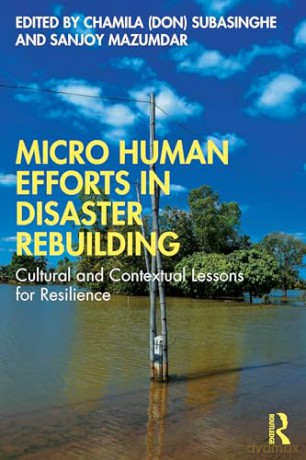 Micro Human Efforts in Disaster Rebuilding: Cultural and Contextual Lessons for Resilience [KSIĄŻKA]