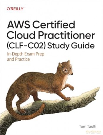 AWS Certified Cloud Practitioner (CLF-C02) Study Guide: In-Depth Exam Prep and Practice - Tom Taulli [KSIĄŻKA]