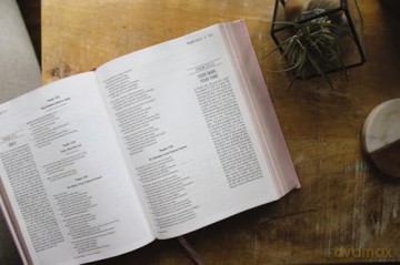 The Jesus Bible, ESV Edition, Leathersoft over Board, Pink [KSIĄŻKA]