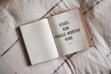 The Jesus Bible, ESV Edition, Leathersoft over Board, Pink [KSIĄŻKA]