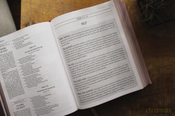 The Jesus Bible, ESV Edition, Leathersoft over Board, Pink [KSIĄŻKA]