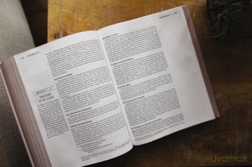 The Jesus Bible, ESV Edition, Leathersoft over Board, Pink [KSIĄŻKA]