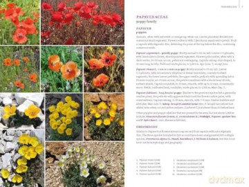 Field Guide to the Flowers of the Western Alps: France, Italy and Switzerland - Christopher Grey-Wilson [KSIĄŻKA]