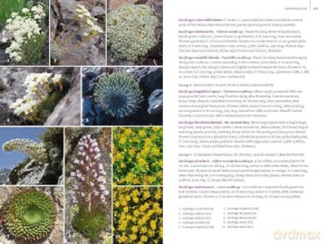 Field Guide to the Flowers of the Western Alps: France, Italy and Switzerland - Christopher Grey-Wilson [KSIĄŻKA]