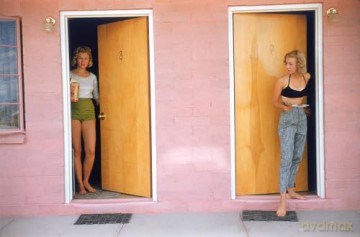 Elliott Erwitt's Kolor: New Edition - Elliott Erwitt [KSIĄŻKA]