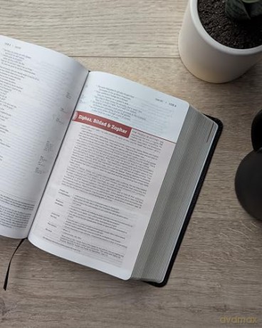 NLT Life Application Study Bible, Third Edition, Personal Size (Bonded Leather, Black, Red Letter): New Living Translation, Black, Bonded Leather, Life Application Study, Personal Size, Red Letter [KSIĄŻKA]
