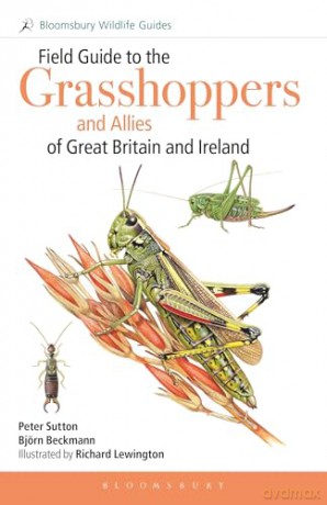 Field Guide to the Grasshoppers and Allies of Great Britain and Ireland: Grasshoppers, Crickets, Earwigs, Cockroaches, Mantids and Stick-insects (Bloomsbury Wildlife Guides) - Björn Beckmann [KSIĄŻKA]