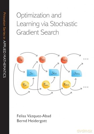 Optimization and Learning via Stochastic Gradient Search (Princeton Series in Applied Mathematics) - Bernd Heidergott [KSIĄŻKA]