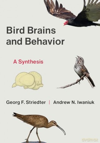 Bird Brains and Behavior: A Synthesis - Georg F. Striedter [KSIĄŻKA]