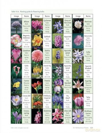 The Maryland Master Gardener Handbook - University of Maryland Extension - Master Gardener Program [KSIĄŻKA]