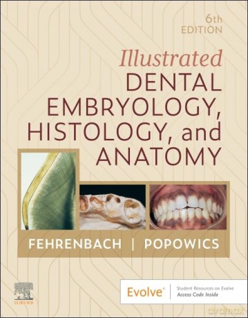Illustrated Dental Embryology, Histology, and Anatomy - Margaret J. Fehrenbach RDH MS [KSIĄŻKA]