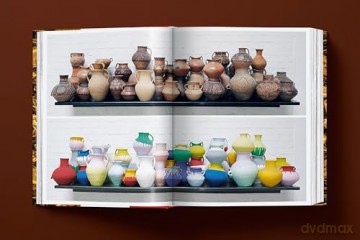 Ai Weiwei. Updated Edition [KSIĄŻKA]