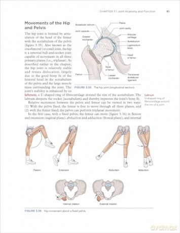 Dynamic Human Anatomy - William C. Whiting [KSIĄŻKA]