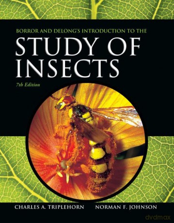 Borror and DeLong's Introduction to the Study of Insects - Charles Triplehorn [KSIĄŻKA]