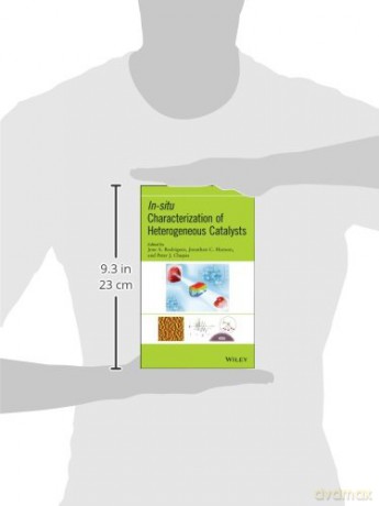In-situ Characterization of Heterogeneous Catalysts [KSIĄŻKA]
